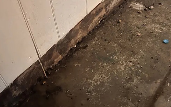Hazardous Chemical Cleanup in Richardson, TX